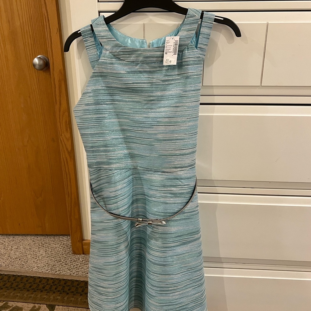 The Children's Place Blue Striped Dress